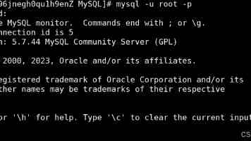迷彩身影守护“国宝”家园
