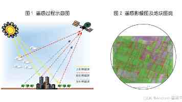 “少年军校”书声琅琅
