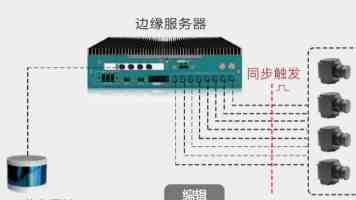 玫瑰91|新手阳台盆栽养护要点与常见问题解析