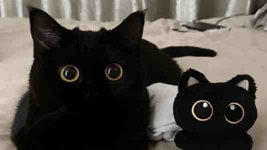 91资源｜30岁后职场人必须盘活的5种个人优势与行动指南