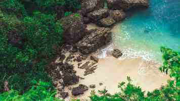 缩略图