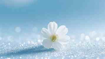 纪念刘天华先生诞辰130周年系列活动举办