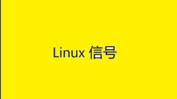 中国援桑给巴尔医疗队推进当地精准化诊疗